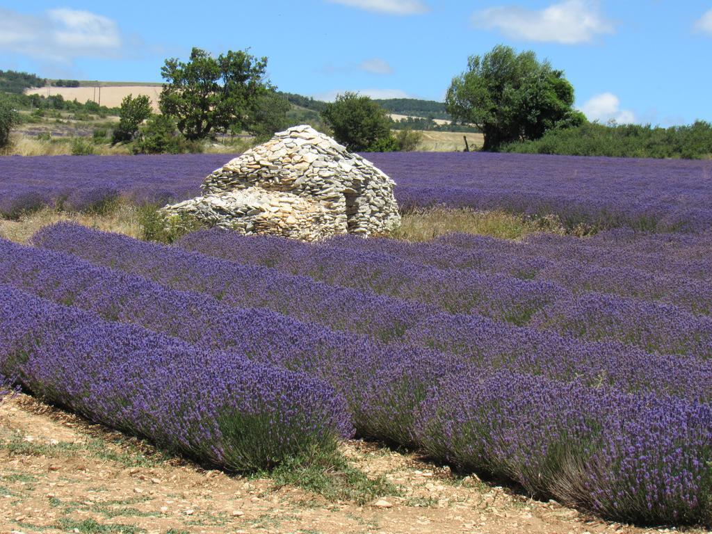 Residence De Gites La Sidoine Du Mont-Ventoux Крійон-ле-Брав Екстер'єр фото